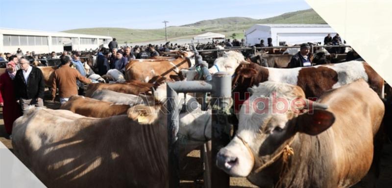 Kurbanlık fiyatlarında son durum açıklandı