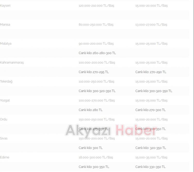 Kurbanlık fiyatlarında son durum açıklandı
