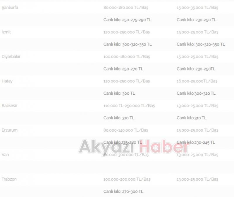 Kurbanlık fiyatlarında son durum açıklandı