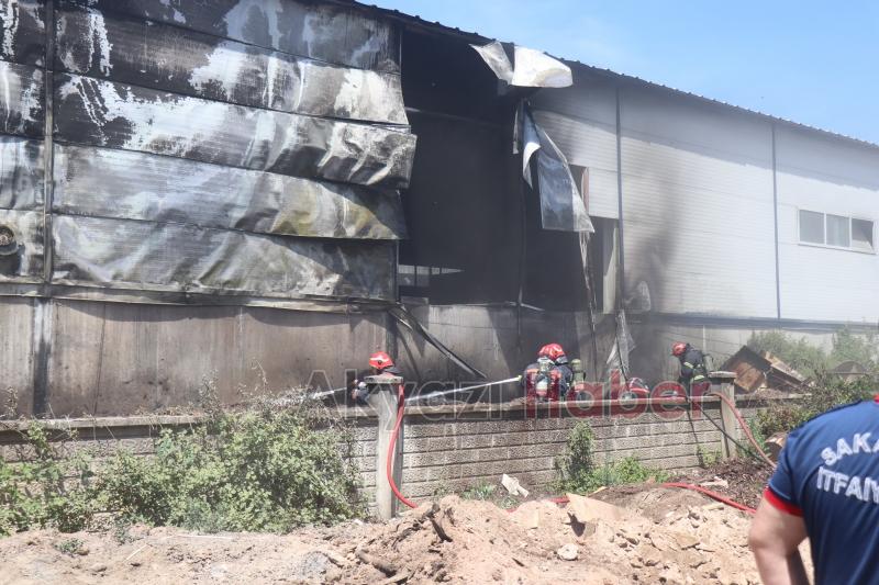 Sakarya'da fabrika yangını