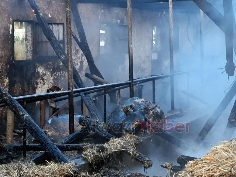 Satışını yaptığı kurbanlıkları yangında telef olan besici yaşadığı üzüntüyü anlattı