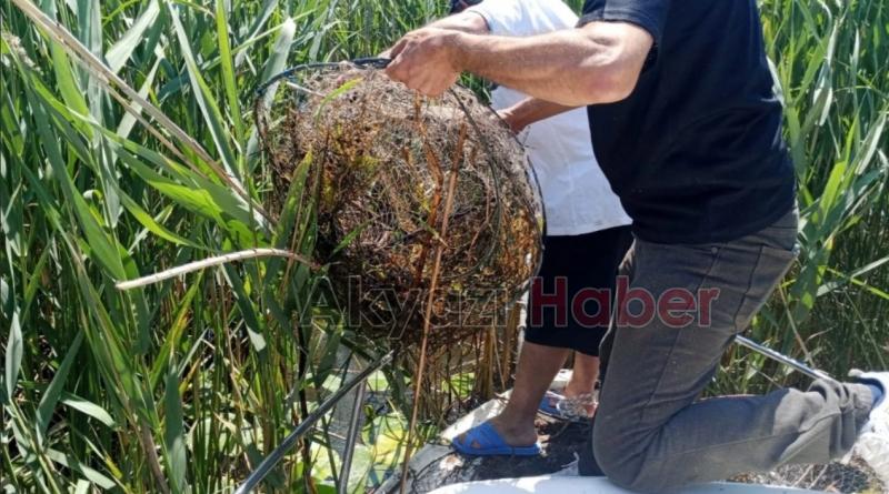 Sapanca Gölü'nde kaçak avcılık operasyonu
