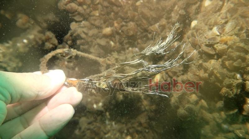 Sapanca Gölü'ne düşen uçağın enkazını görüntüledi