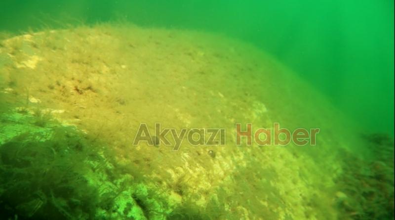 Sapanca Gölü'ne düşen uçağın enkazını görüntüledi