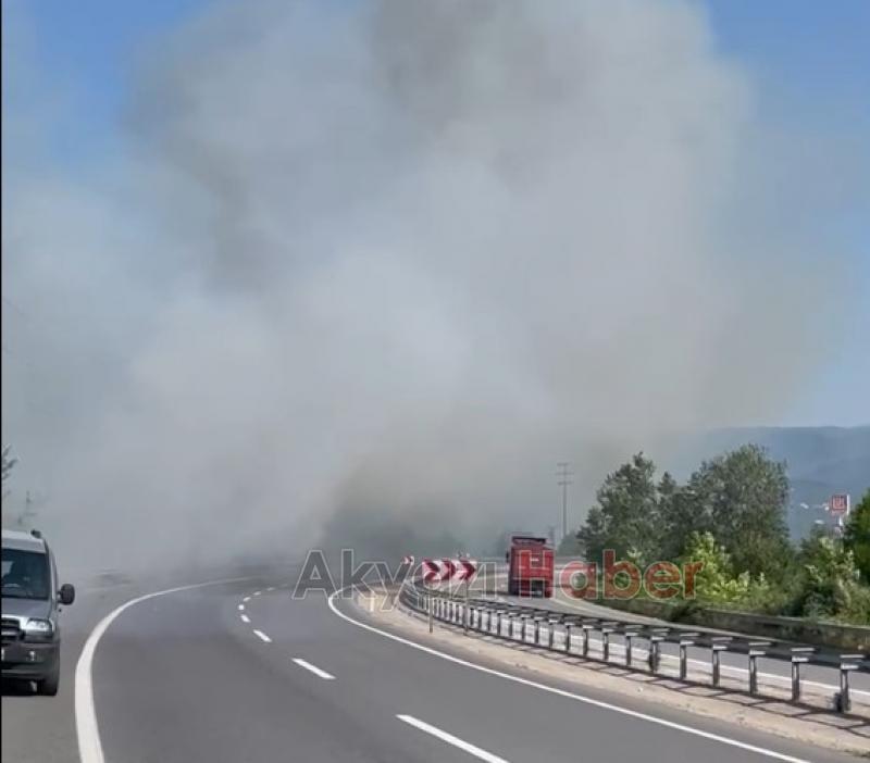 Otluk alanda çıkan yangın trafiği etkiledi