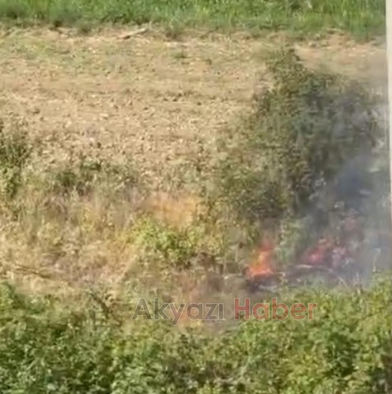 Otluk alanda çıkan yangın trafiği etkiledi