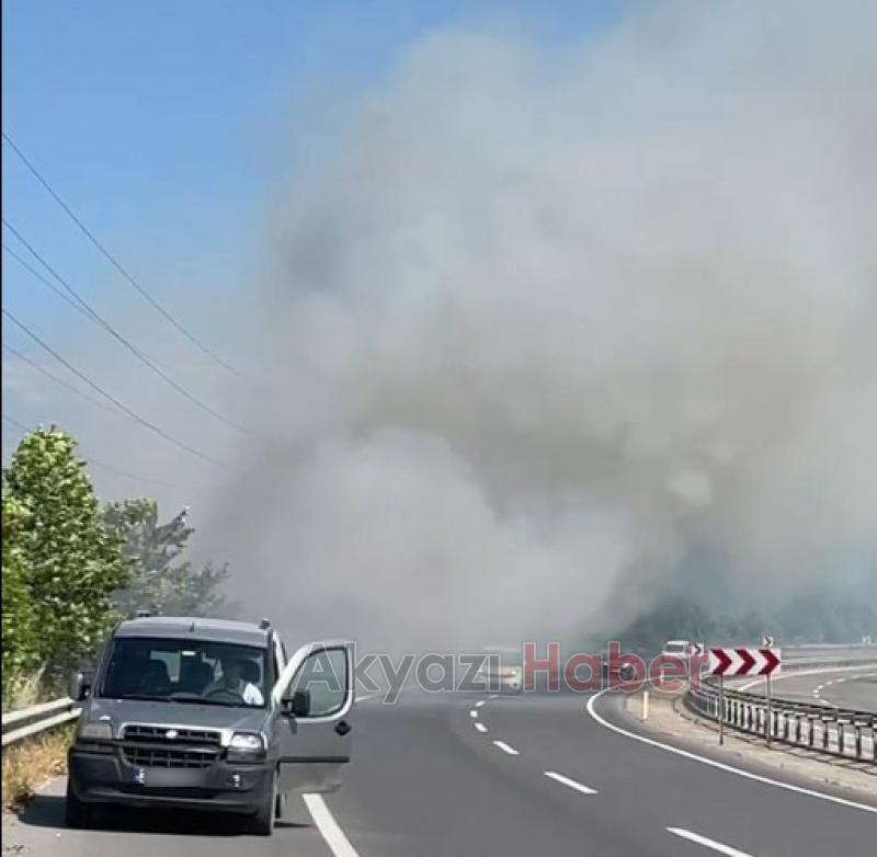 Otluk alanda çıkan yangın trafiği etkiledi