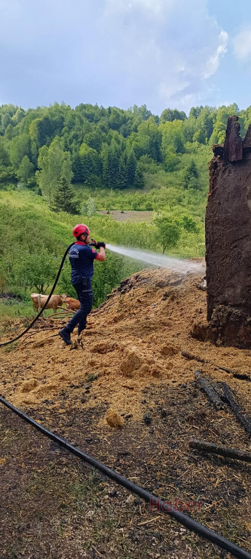 Ahır ve samanlık kül oldu