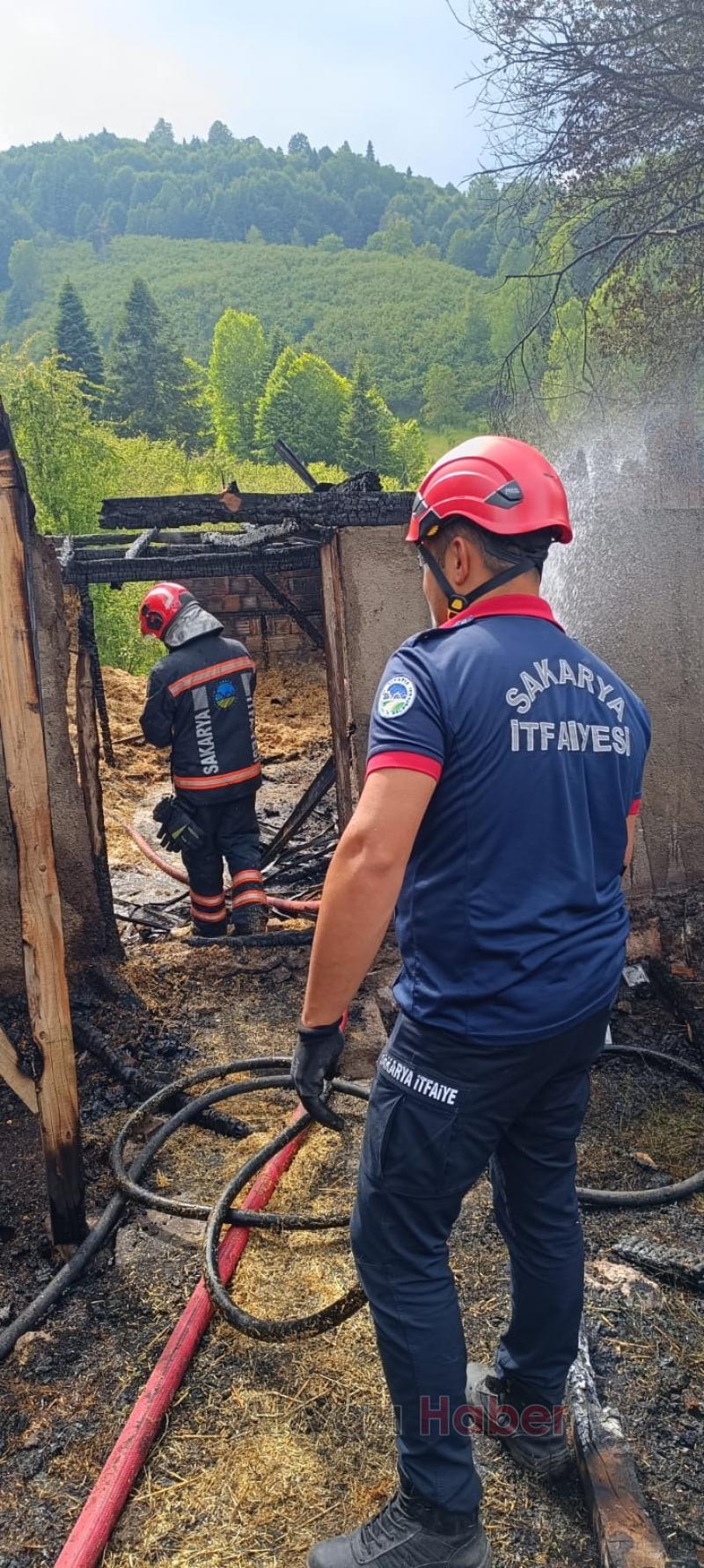 Ahır ve samanlık kül oldu