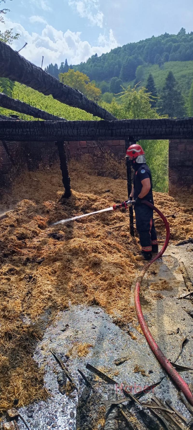 Ahır ve samanlık kül oldu