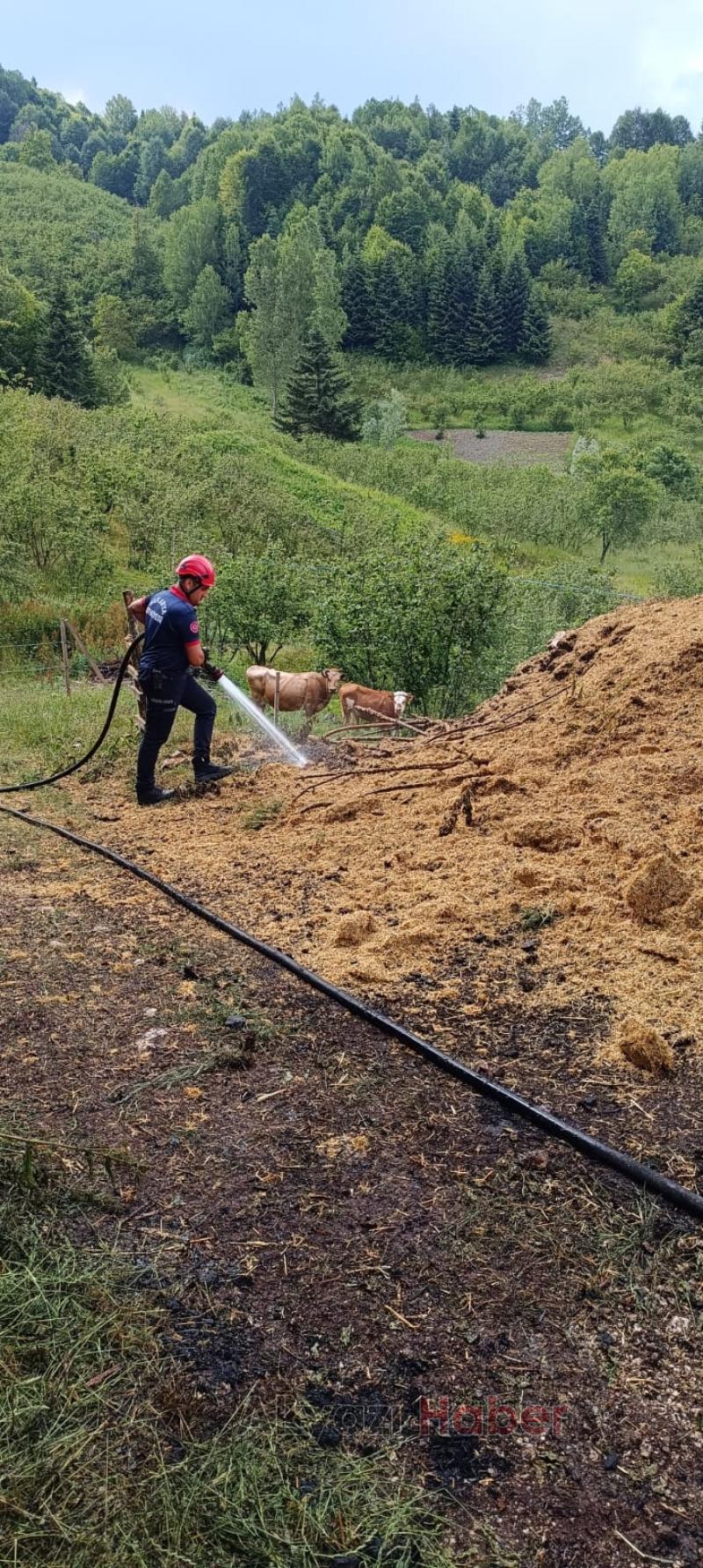 Ahır ve samanlık kül oldu