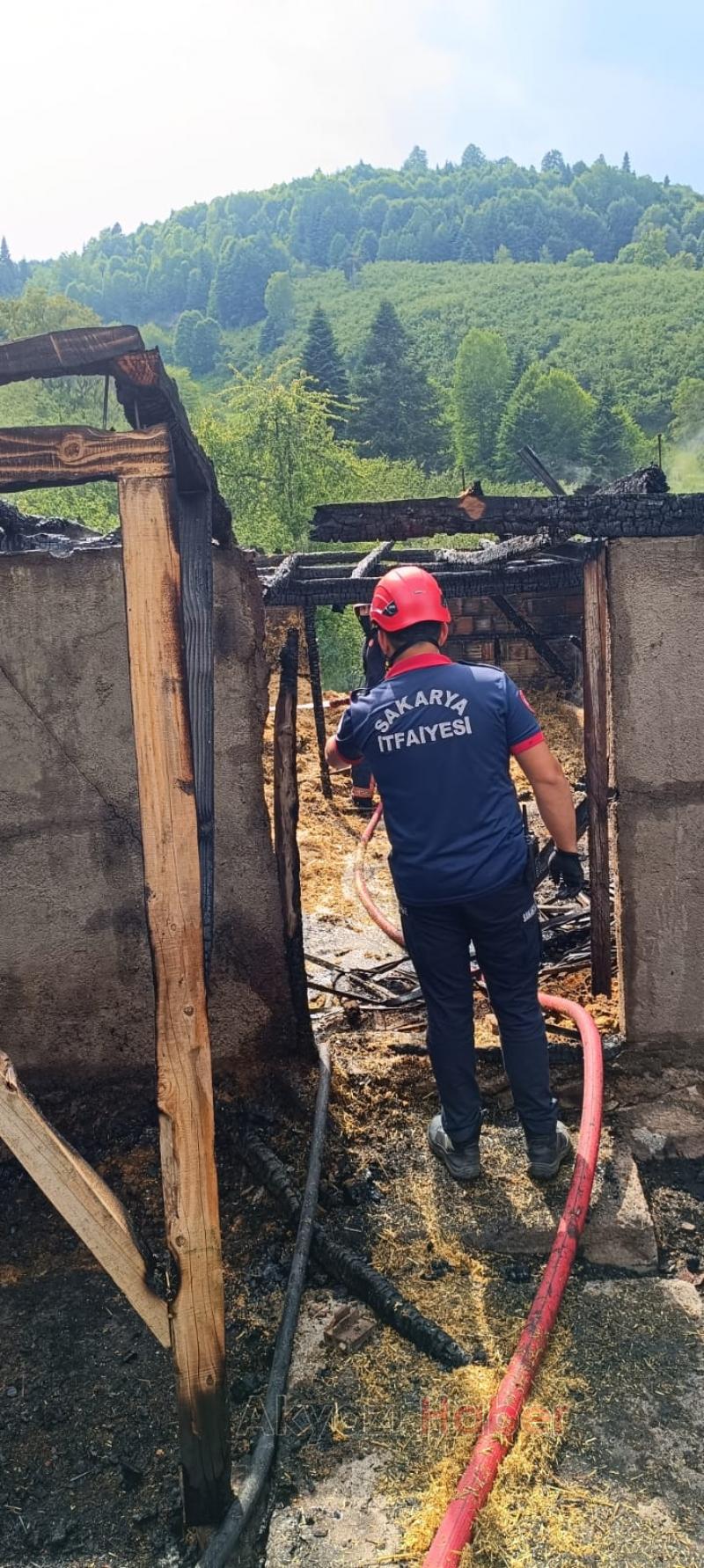 Ahır ve samanlık kül oldu