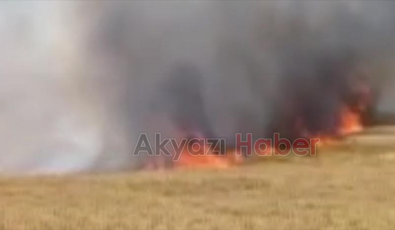 Arpa ve buğday tarlası yandı
