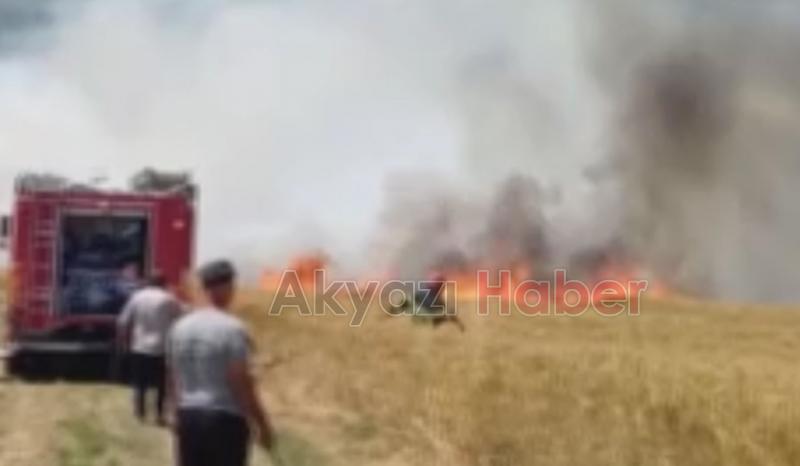 Arpa ve buğday tarlası yandı