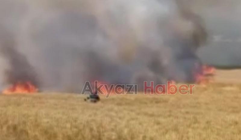 Arpa ve buğday tarlası yandı