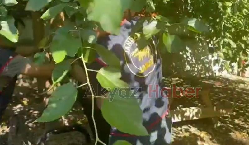 Arkadaşını vurmuştu, jandarmadan kaçamadı