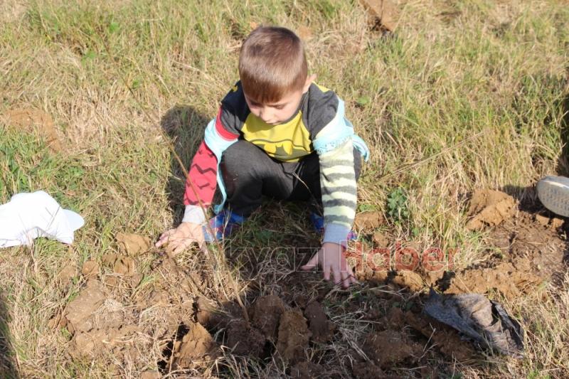 1001 Fidanla Akyazı KYK Öğrenci Hatıra Ormanı Oluşturuldu