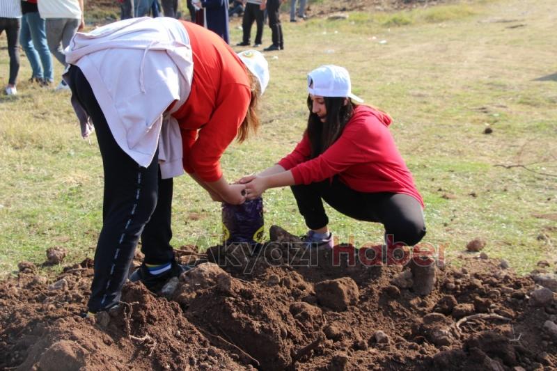 1001 Fidanla Akyazı KYK Öğrenci Hatıra Ormanı Oluşturuldu