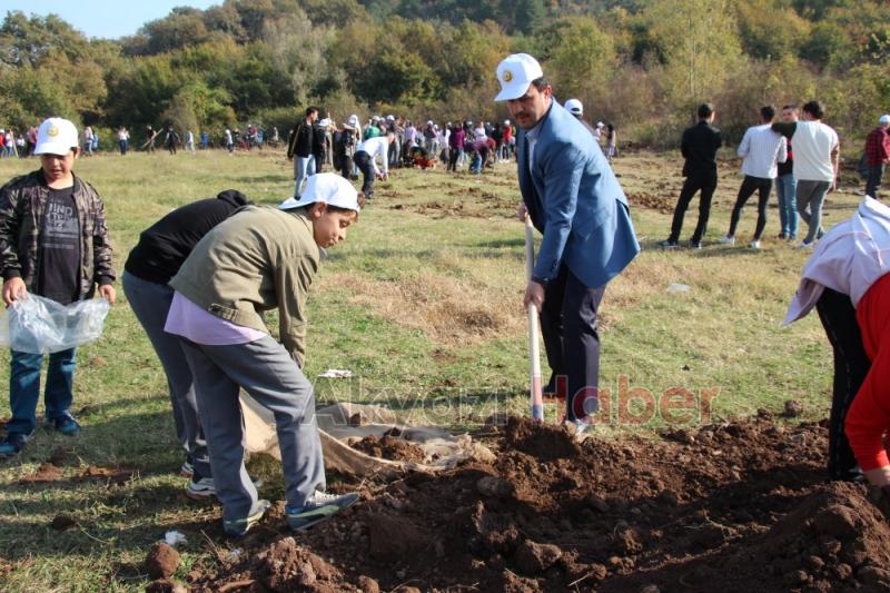 1001 Fidanla Akyazı KYK Öğrenci Hatıra Ormanı Oluşturuldu