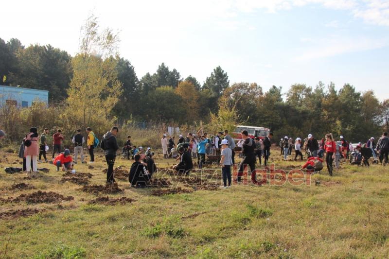 1001 Fidanla Akyazı KYK Öğrenci Hatıra Ormanı Oluşturuldu