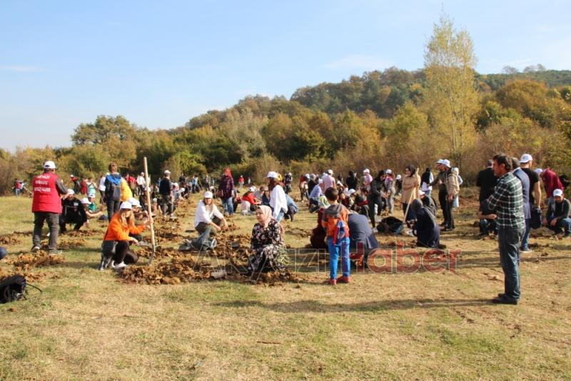 1001 Fidanla Akyazı KYK Öğrenci Hatıra Ormanı Oluşturuldu