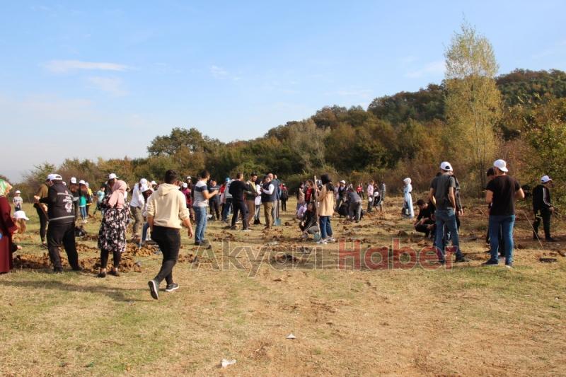 1001 Fidanla Akyazı KYK Öğrenci Hatıra Ormanı Oluşturuldu