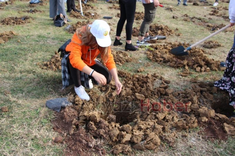 1001 Fidanla Akyazı KYK Öğrenci Hatıra Ormanı Oluşturuldu