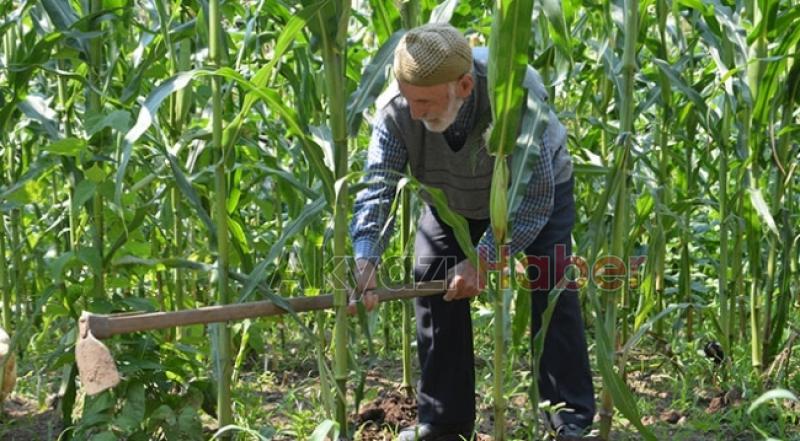 104 yaşındaki Mustafa dede gençlere taş çıkartıyor