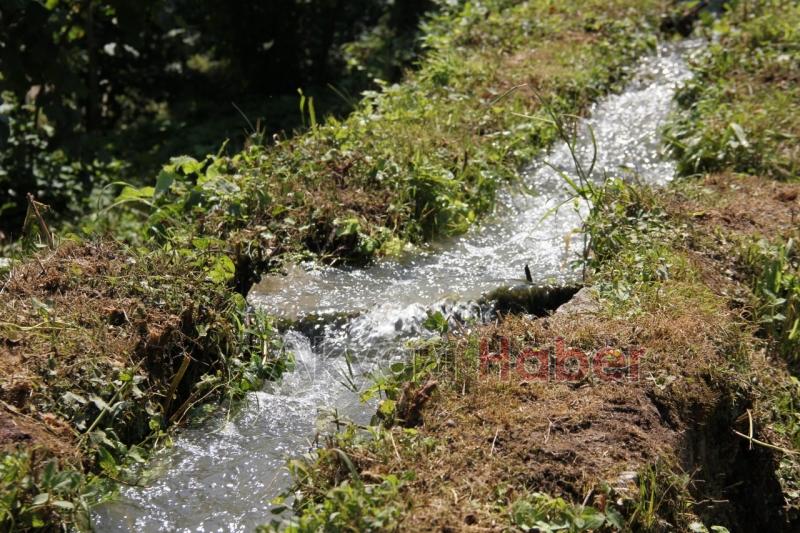 120 Yıllık Tarihi Değirmen Halen Çalışıyor