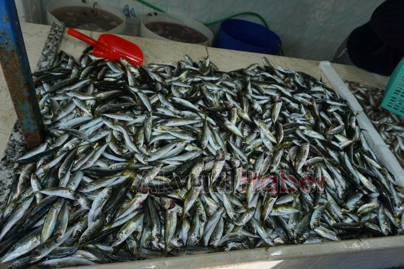 18 Aralık Çarşamba Pazarı Fiyatları