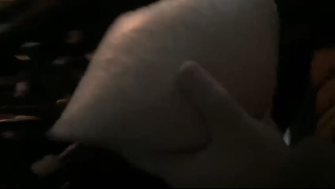 2 kilogram metamfetamin ile yakalandı