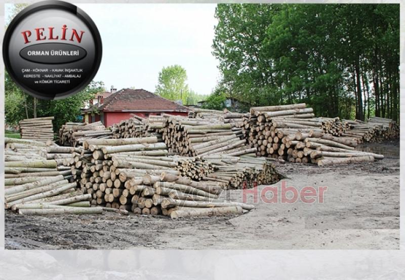 22 yıldır güvenli adresiniz Pelin Orman Ürünleri
