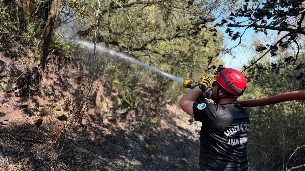 3 ilçede ki orman yangınları kontrol altına alındı