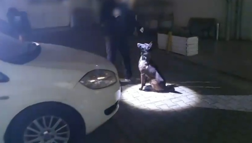 3 kilo 750 gram skunk ele geçirildi