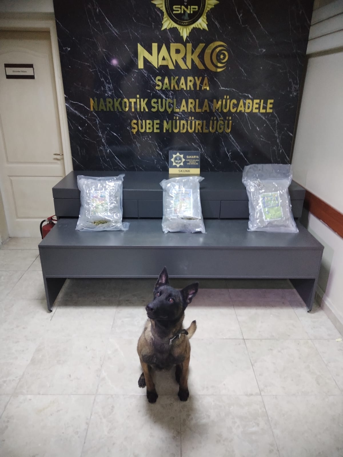 3 kilo 750 gram skunk ele geçirildi