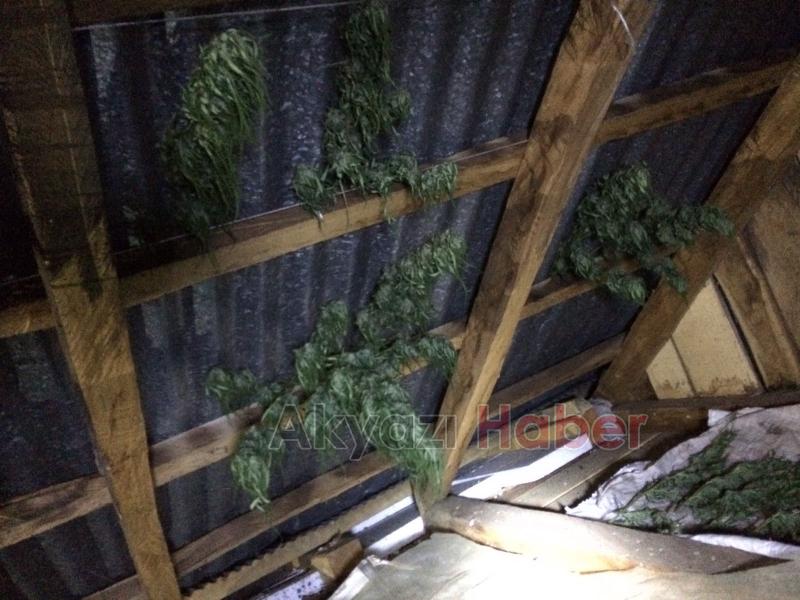 4 ilçede büyük uyuşturucu operasyonları