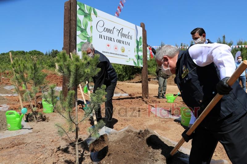 5 bin 529 anne için Sakaryada fidan dikildi