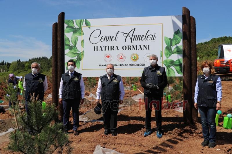 5 bin 529 anne için Sakaryada fidan dikildi