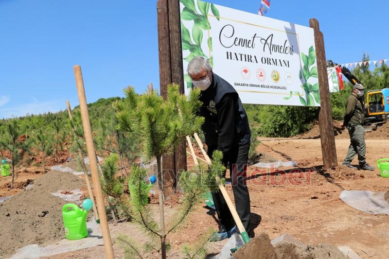 5 bin 529 anne için Sakaryada fidan dikildi