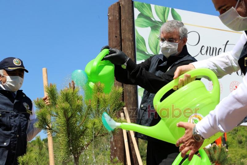 5 bin 529 anne için Sakaryada fidan dikildi