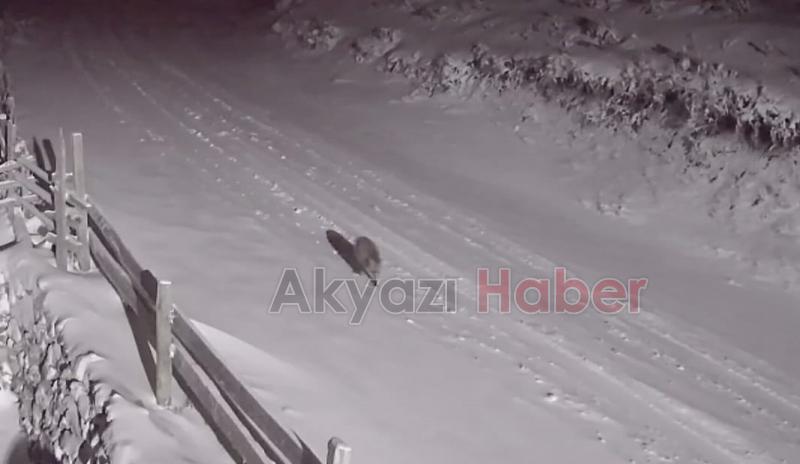 Aç kalınca yayla evlerine dadandılar