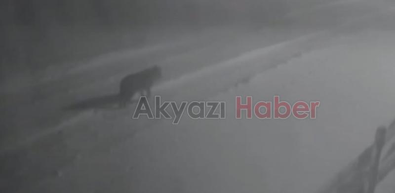 Aç kalınca yayla evlerine dadandılar