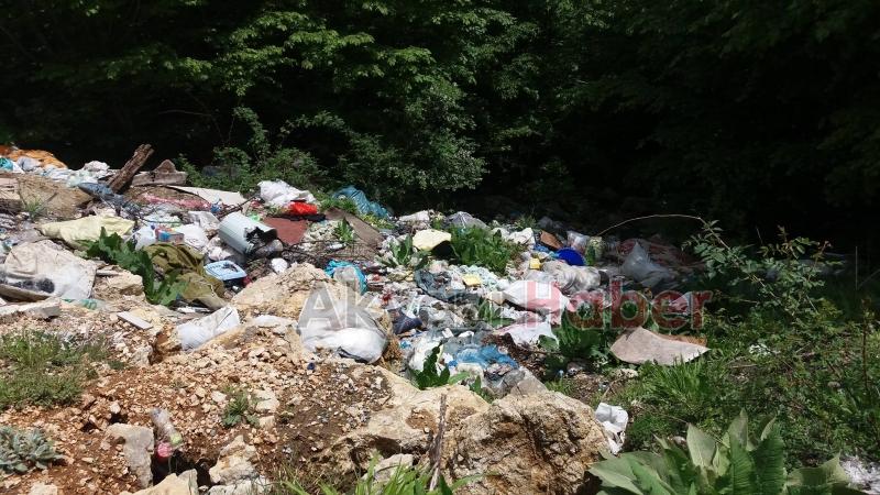 Acelle Yaylası Yolunda Çöp Rezaleti