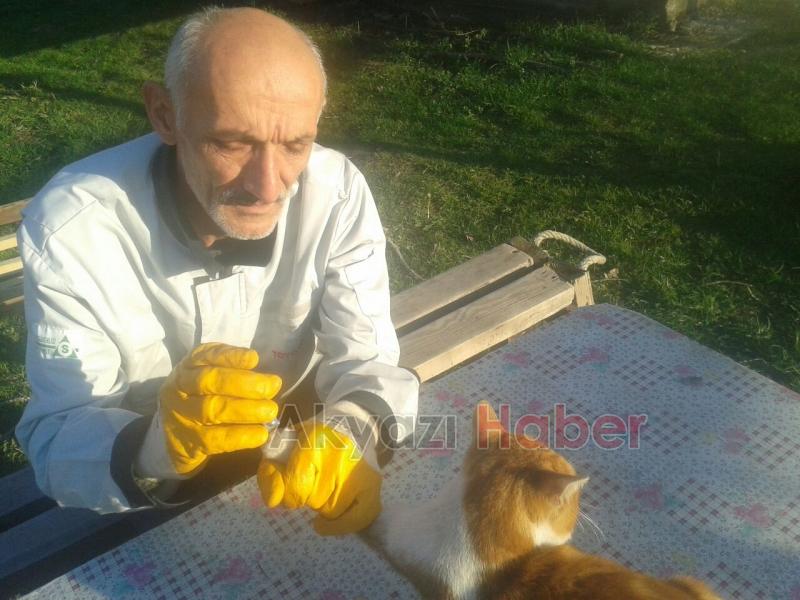 Acı Çeken Kediye Şefkat Eli