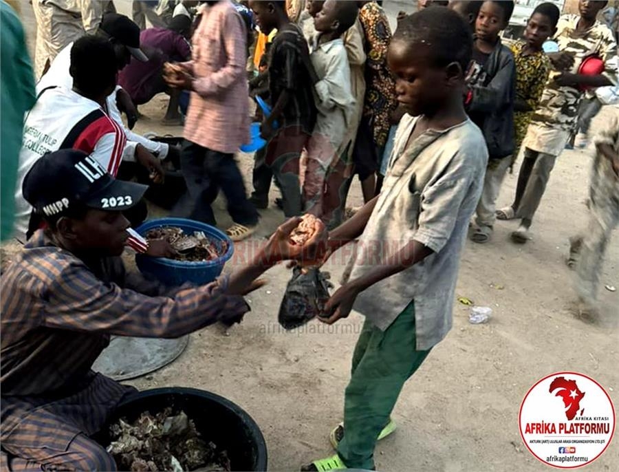 Afrika Platformu ile 2025 Afrika Kurban Bağışı, Güvenli Kesim ve Hisse Bedelleri