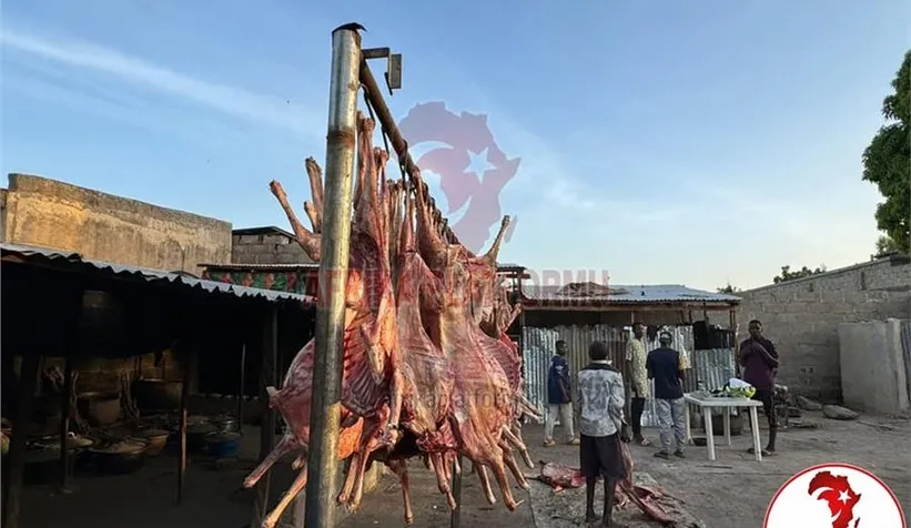 Afrika Platformu ile Afrika’da Kurban Bağışı ve Kesim Organizasyonları Devam Ediyor