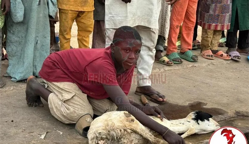 Afrika Platformu ile Afrika’da Kurban Bağışı ve Kesim Organizasyonları Devam Ediyor
