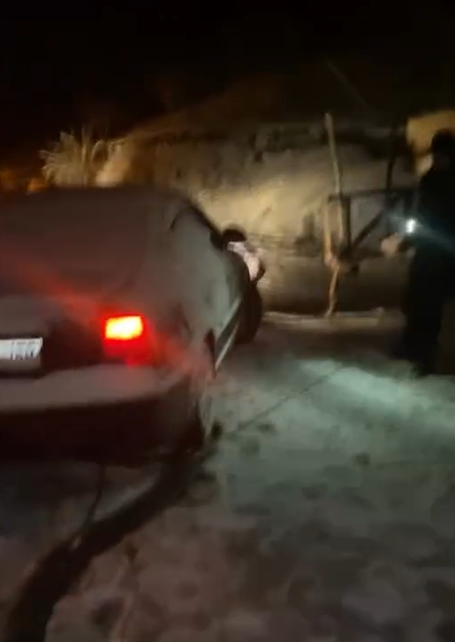 Ağaç hayatlarını kurtardı