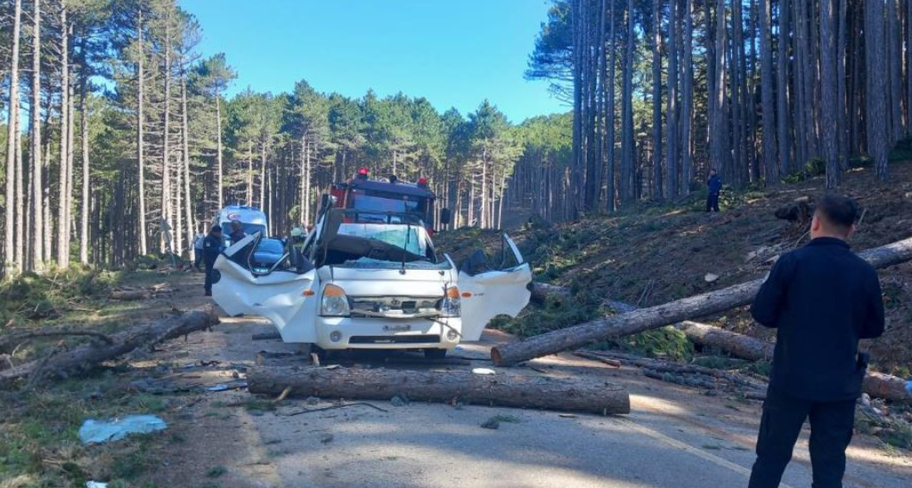 Ağaç kesiminde facia; 1 ölü 2 yaralı