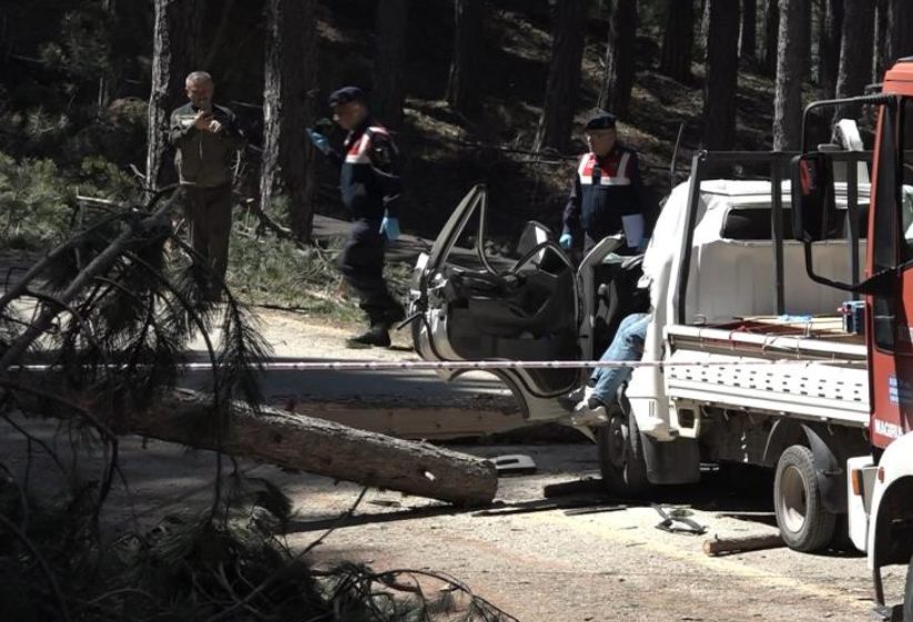 Ağaç kesiminde facia; 1 ölü 2 yaralı